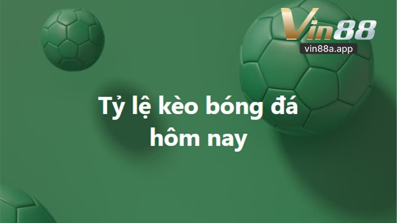 Cá cược bóng đá Vin88