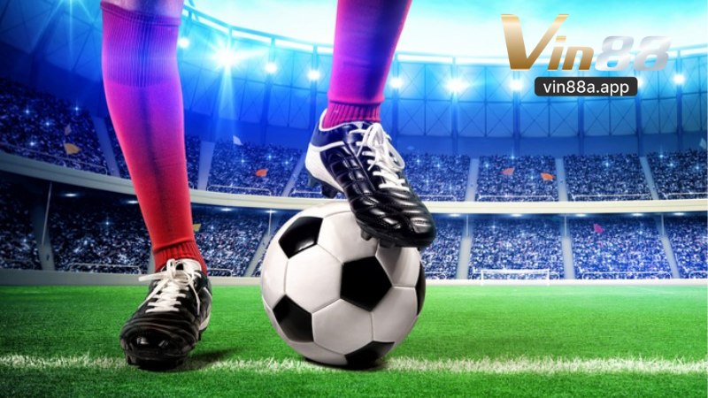 Thể Thao Vin88